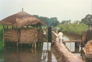 Muelle en el r&iacute;o Gambia