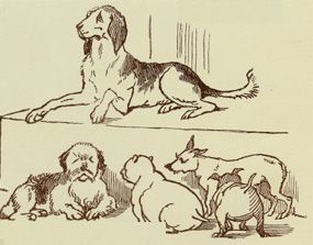Perros