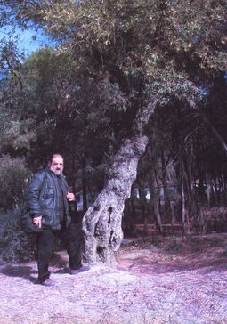 Fernando Guijarro