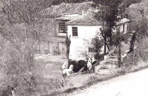 La Colonia