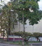 Teatro de la Cruz Roja, en Armenia