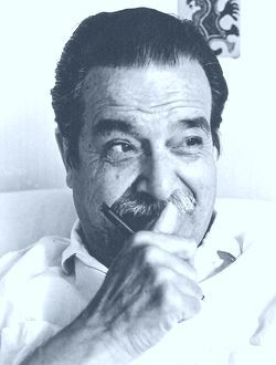 Sergio Canut de Bon