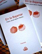 &ldquo;En la bajamar&rdquo;, de Pedro Javier Mart&iacute;n Pedr&oacute;s