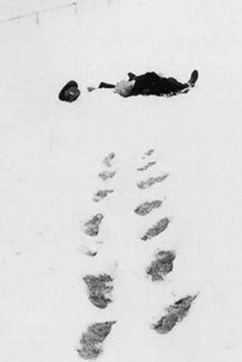 El día de Robert Walser