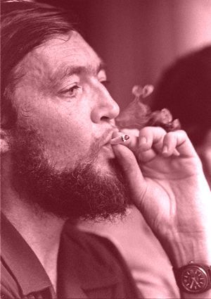 Julio Cort&aacute;zar