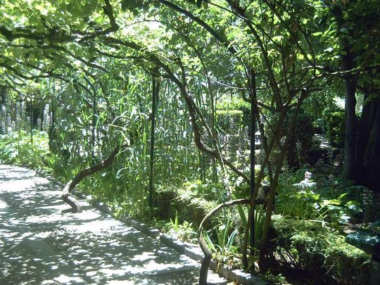 Huerto de Calixto y Melibea