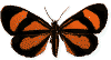 Mariposa