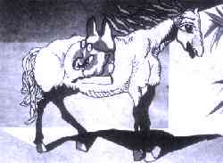 Dibujo de R�gulo P�rez para Ciertos animales criollos, de Guillermo Mor�n