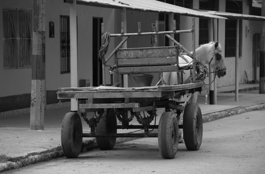 Zorra