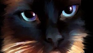 Ojos de gato