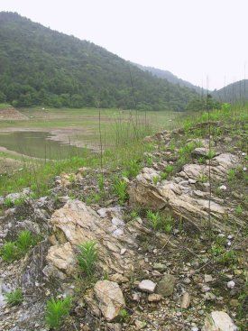 Allende las piedras y dem&aacute;s sinos