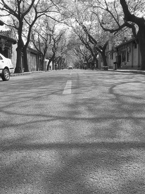 Canon de la calle y el azar