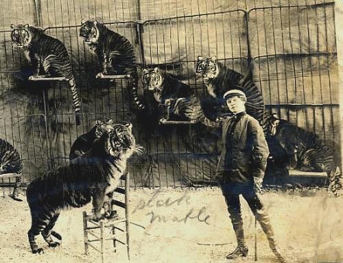 El circo