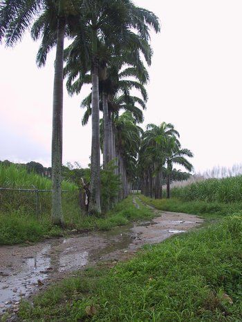 Divertimentos
