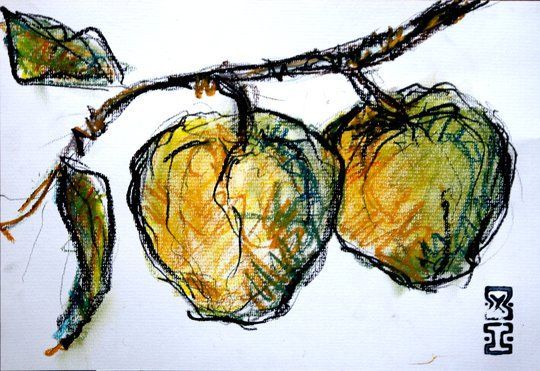 Guayaba