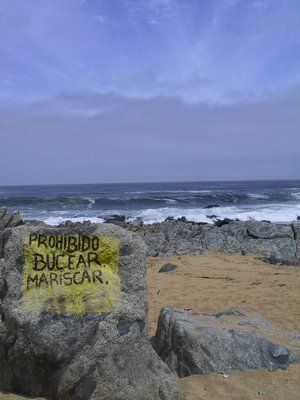 Isla Negra: relación y remembranza
