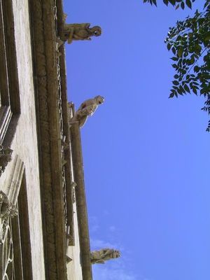 Calles, puentes y demás discursos de la memoria