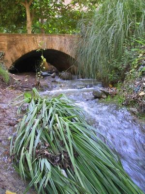 Calles, puentes y demás discursos de la memoria