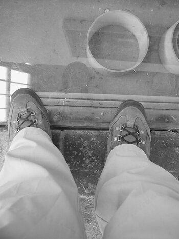 Pies