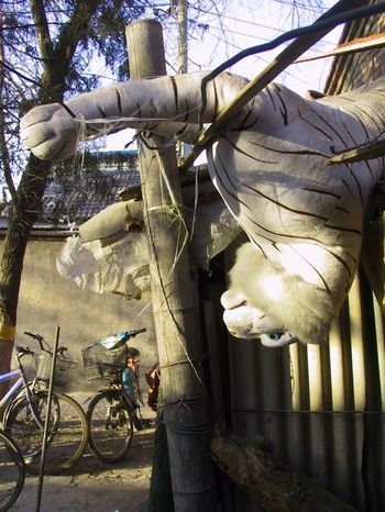Recuerdos del “Callejón de los Documentos Oficiales”