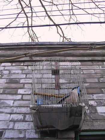 Recuerdos del “Callejón de los Documentos Oficiales”