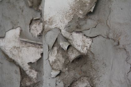 Textos del silencio sin edad