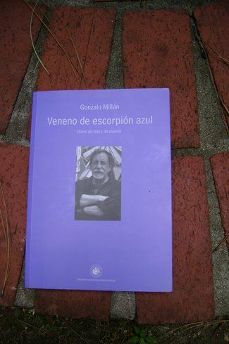 &ldquo;Veneno de escorpi&oacute;n azul&rdquo;, de Gonzalo Mill&aacute;n