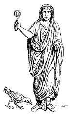 Augur