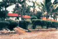 Fotos del autor