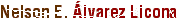 El autor