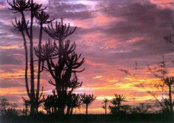 Puesta de sol en Angola
