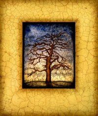 ��rbol en invierno�, Betsy Bauer