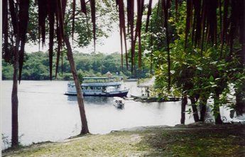Viaje al Amazonas