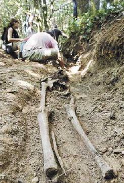 Asociaci&oacute;n para la Recuperaci&oacute;n de la Memoria Hist&oacute;rica (ARMH)