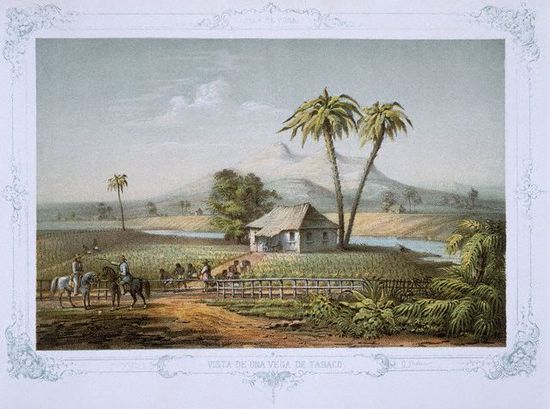 Plantaci&oacute;n de tabaco en Cuba (hacia 1890)
