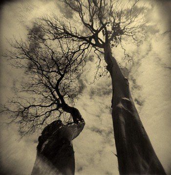Fotograf&iacute;a: Kevin Cruff (2002)
