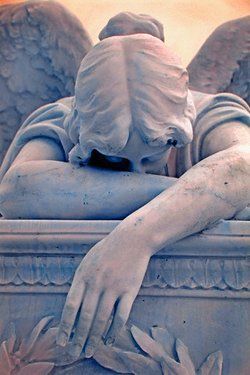 Fotograf&iacute;a: Thom Lang