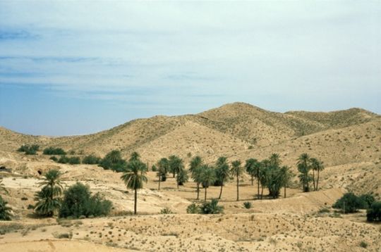 T&uacute;nez
