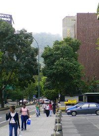 Centro de Estudios Latinoamericanos R&oacute;mulo Gallegos (Celarg)