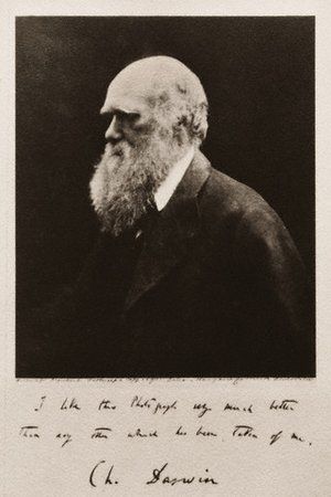 Charles Darwin. Fotograf&iacute;a: Louie Psihoyos