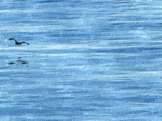 Vuelo rasante