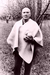 Carlos Pellicer