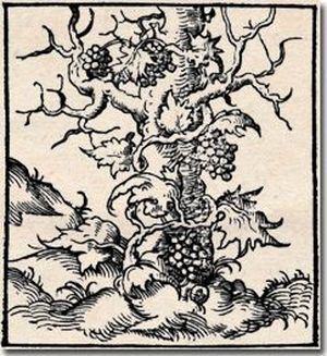 Par&iacute;s, Wechel, 1536