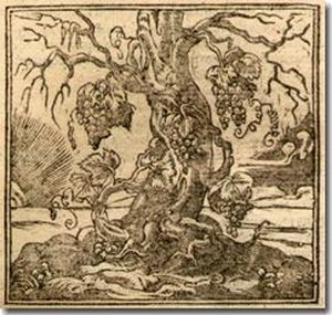Lyon, Rouill&eacute;, 1549-1550. Con comentarios del humanista espa&ntilde;ol Francisco S&aacute;nchez de las Brozas, &ldquo;El Brocense&rdquo; (1523-1600)
