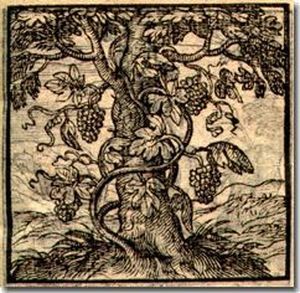 Amberes, Plantin, 1589