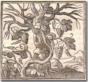 Padua, Tozzi, 1626