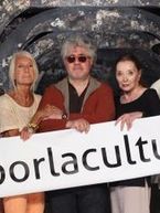 Alarma en la cultura espa�ola