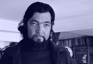Julio Cort&aacute;zar