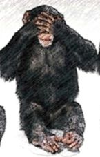 Los monos sabios