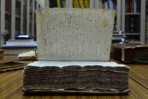 Manuscritos ind&iacute;genas mexicanos